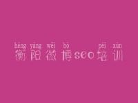 衡阳微博seo培训，seo教程pdf