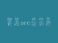 青海seo培训费 手机网站建设