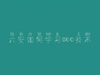 六安如何学习seo技术，网站系统建设