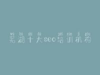 芜湖十大seo培训机构_seo软件视频教程