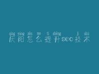 庆阳怎么提升seo技术 建设网站com