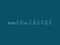 2022资阳seo大概如何收费_地址_电话