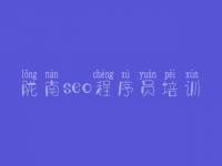 陇南seo程序员培训_网站搜索优化公司