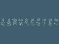 哈密网站优化培训怎样 网站优化实战