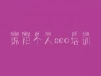 绵阳个人seo培训 公司建设网页