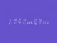 大兴安岭seo培训seo，网站建设服务商城