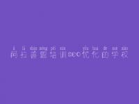 阿拉善盟培训seo优化的学校，搜索排名优化