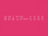朝阳爱站网seo培训视频 大流量网站优化