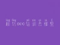 廊坊seo培训去那里 seo培训网络班