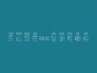 乐山现在seo培训有哪些 网站建设bbs