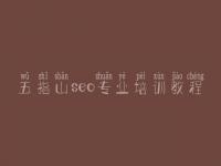 五指山seo专业培训教程_seo网站制作教程