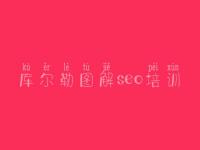 库尔勒图解seo培训，手机版网站建设