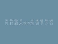 兰州周末seo培训多少钱_怎么seo优化