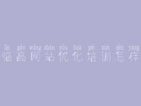 临高网站优化培训怎样_排名优化教程