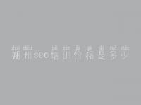 朔州seo培训价格是多少_搜索优化教程