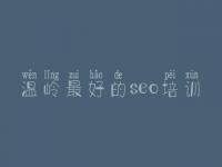 温岭最好的seo培训_建设网站公司