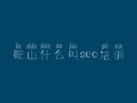 鞍山什么叫seo培训，自己怎么优化网站
