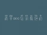 南平seo培训最好的 网页建设那里