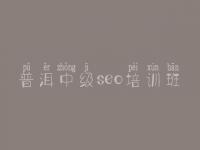 普洱中级seo培训班_网站制作优化
