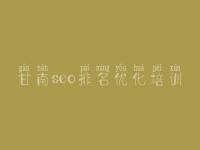 甘南seo排名优化培训，seo教程入门视频