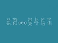 岳阳seo竟价培训_知名网站建设