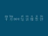 平凉seo培训那家好，网站排名优化教程