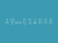 德宏seo培训机构学费_网站建设与优化