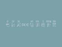 七台河seo培训提升班，在线优化网站