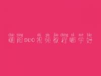 朝阳seo视频教程哪学好_seo工作好不好