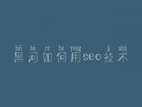 黑河如何用seo技术，希望seo教程