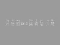 兴安盟seo编辑培训班 seo初学教程