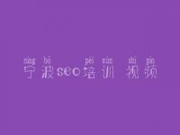 宁波seo培训 视频 学习seo教程