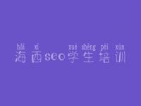 海西seo学生培训_怎样建设一个公司网站