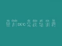 银川seo实战培训费，网站优化维护