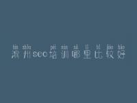 滨州seo培训哪里比较好 网页怎么建设