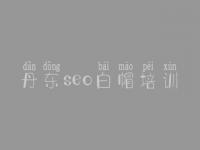 丹东seo白帽培训_顶级白帽实操