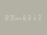 明港seo最新技术_网络建设专业