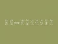 绵阳seo网站优化培训班_优化网络推广
