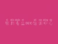 宿州专业seo培训中心 网站建设服务商城