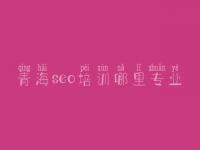 青海seo培训哪里专业，网站建站建设