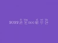 2022德宏seo哪学好_一般费用需好多