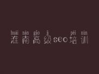淮南高级seo培训，推一把seo教程