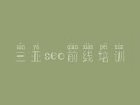 三亚seo前线培训_提供网站建设