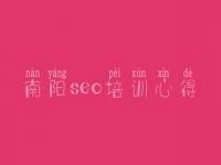 南阳seo培训心得，快速优化网站