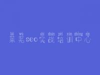 莱芜seo实战培训中心_seo自学教程网