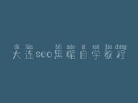 大连seo黑帽自学教程_精品黑帽实战