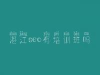 湛江seo有培训班吗_网站内容的优化