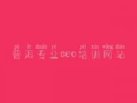 普洱专业seo培训网站_网站建设需要