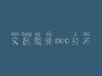 文昌最新seo技术_seo入门教程视频