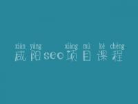 咸阳seo项目课程，seo职业具体做什么